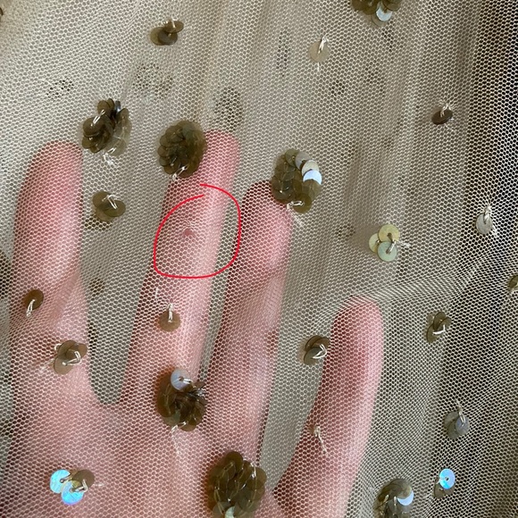 LoveShackFancy Janet Tulle Sequin Beaded Dress, Sz 4 - Picture 15 of 16